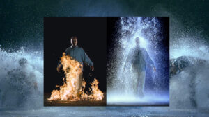 bill viola contemporany art juan butten MoMA